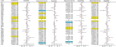 Multi-omics analysis reveals the prognostic and tumor micro-environmental value of lumican in multiple cancer types